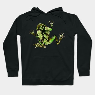 Gray Tree Frog Hoodie